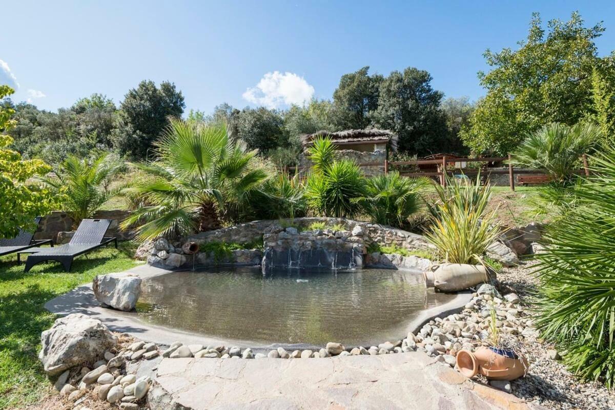 Вилла Casa Conti Di Sotto Гаворрано Экстерьер фото